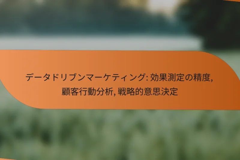 データドリブンマーケティング: 効果測定の精度, 顧客行動分析, 戦略的意思決定